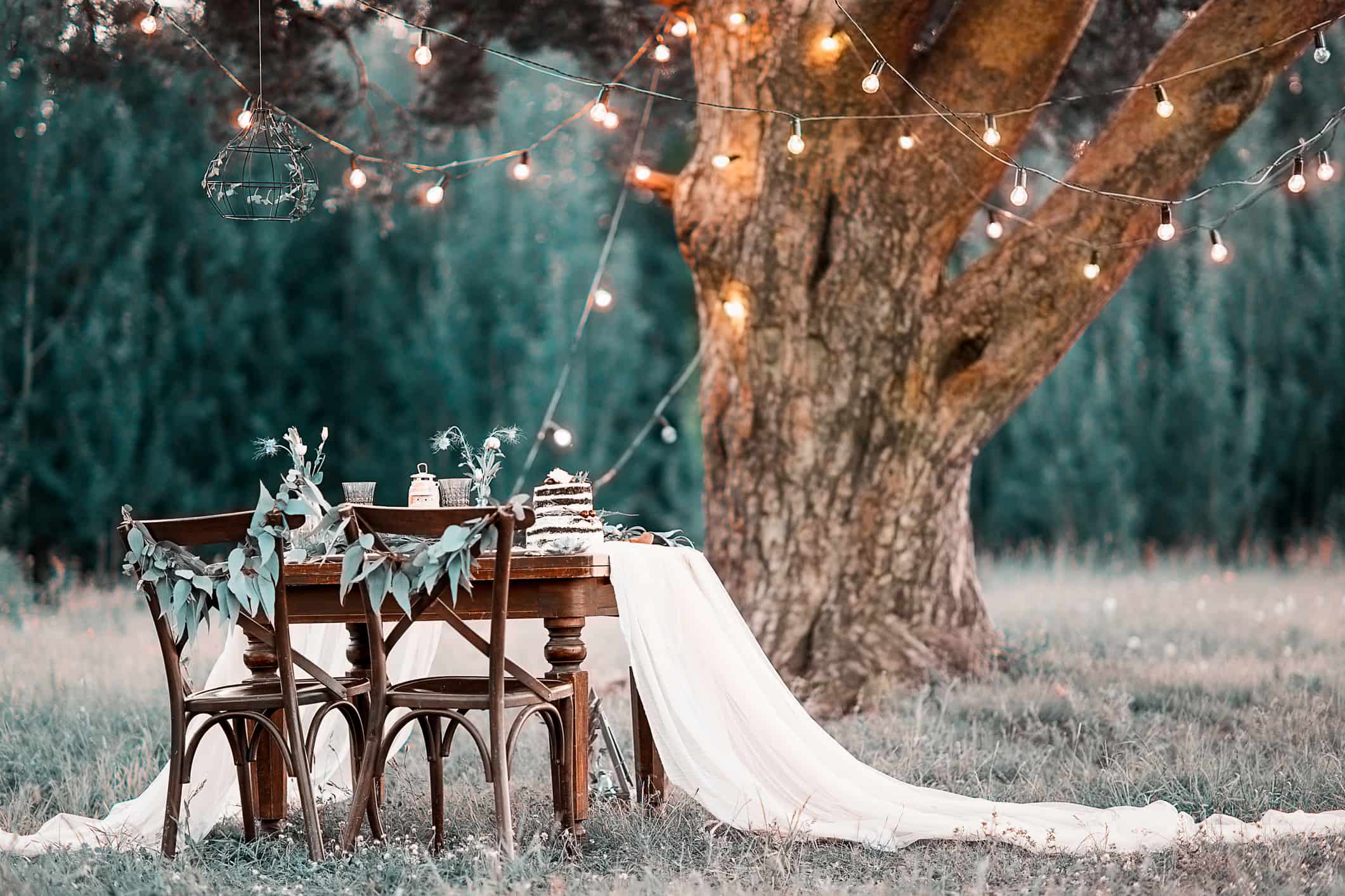 Bride and Groom Dining Table In The Woods Under String Lights. Outdoor Weddings Dos and Donts