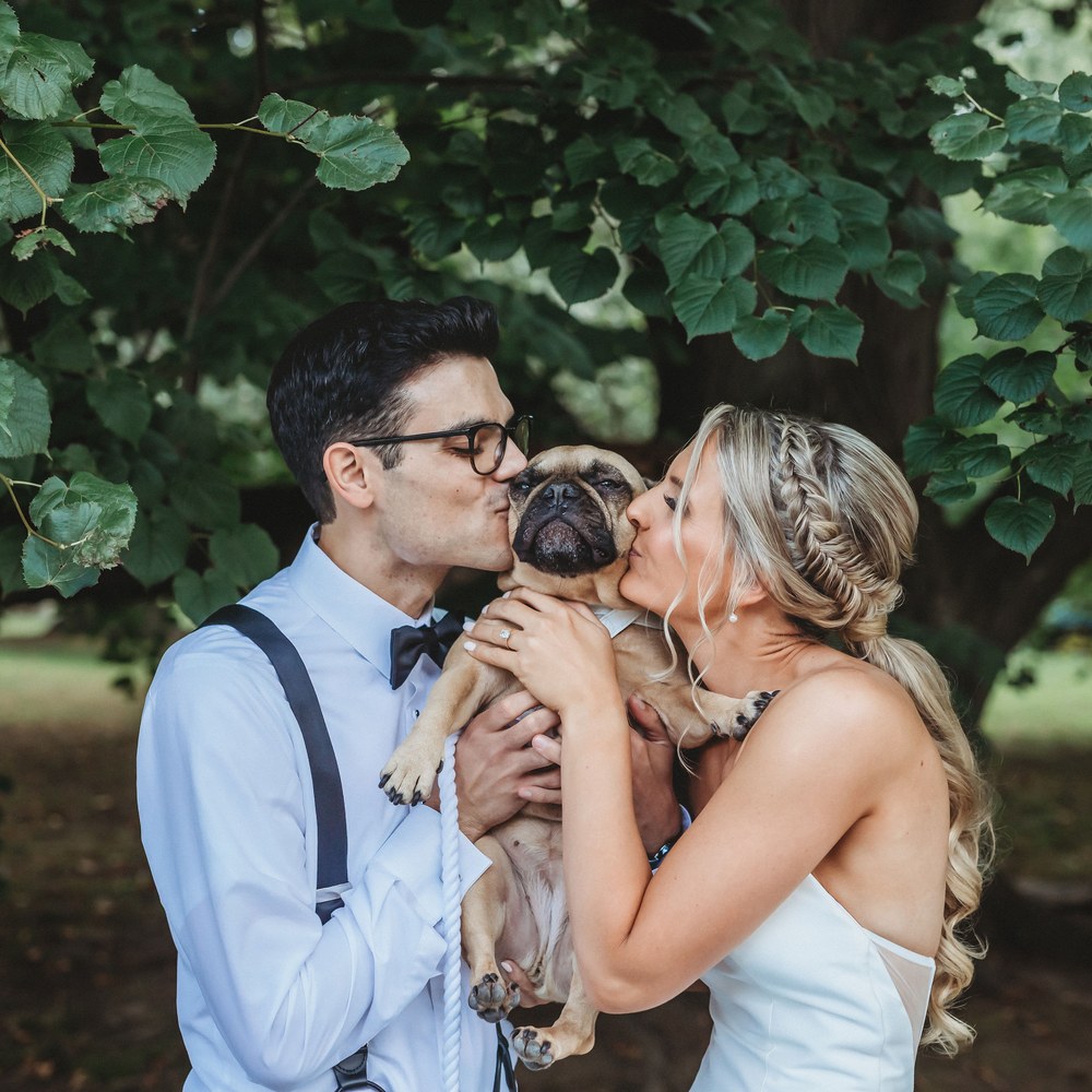 couple-pug-kiss-square Bride and groom kissing their dog at The Royalton Mansion wedding