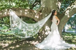 a bride underneath of a large tree
